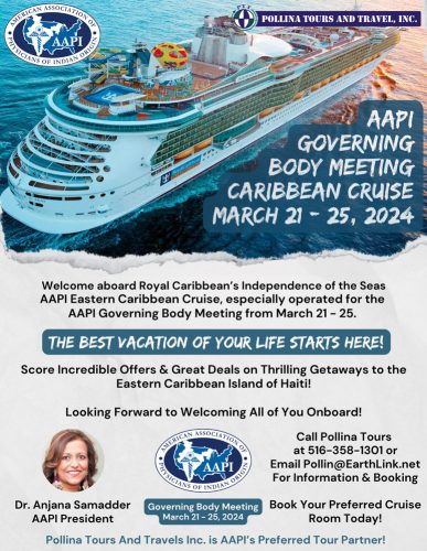 AAPI Governing Body Cruise Flyer